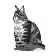 Jekca ST19MCC01-M02 Maine Coon 01S-M02