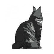 Jekca ST19MCC01-M02 Maine Coon 01S-M02