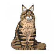 Jekca ST19MCC01-M03 Maine Coon 01S-M03