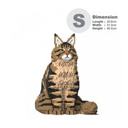 Jekca ST19MCC01-M03 Maine Coon 01S-M03