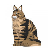 Jekca ST19MCC01-M03 Maine Coon 01S-M03