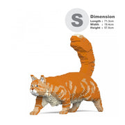 Jekca ST19MCC02-M01 Maine Coon 02S-M01