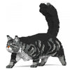 Jekca ST19MCC02-M02 Maine Coon 02S-M02