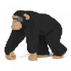Jekca ST19ML27 Chimpanzee 02S