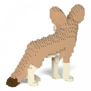 Jekca ST19ML30 Fennec Fox 01S