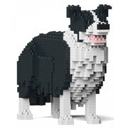 Jekca ST19PT28-M01 Black and White Border Collie 01S-M01