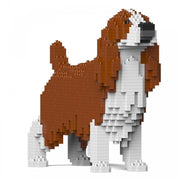 Jekca ST19PT42-M01 English Springer Spaniel 01S-M01