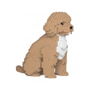 Jekca ST19PT71-M01 Cockapoo 01S-M01