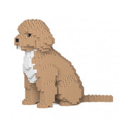 Jekca ST19PT71-M01 Cockapoo 01S-M01