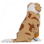 Jekca ST19PT73-M02 Australian Shepherd 01S-M02