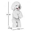 Jekca ST19TPD04-M01 Toy Poodle Standing on Hind legs White 04S-M01