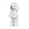 Jekca ST19TPD04-M01 Toy Poodle Standing on Hind legs White 04S-M01
