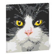 Jekca ST24TCA01 Tuxedo Cat Brick Painting 01S