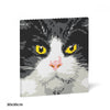 Jekca ST24TCA01 Tuxedo Cat Brick Painting 01S