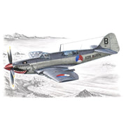 Special Hobby 1/48 Fairey Firefly Mk.4/5/6 Foreign Service SH-48041