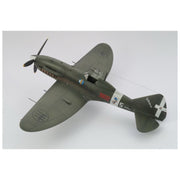 Sword 48010 1/48 Reggiane Re.2005 Sagittario