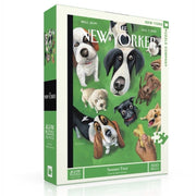 New York Puzzle Company Summer Treat 500pc Jigsaw Puzzle