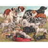 New York Puzzle Company Dog Breeds 1000pc Jigsaw Puzzle