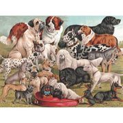 New York Puzzle Company Dog Breeds 1000pc Jigsaw Puzzle