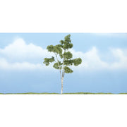 Woodland Scenics TR1616 Paper Birch Premium Trees