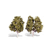Woodland Scenics TR3536 Waters Edge Classic Trees 13-15cm 2pc