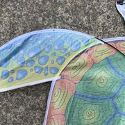 Windspeed Sea Turtle Single String Kite