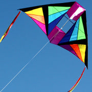 Windspeed Cell Delta Kite Single String Kite
