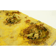 Waterloo 1815 004 1/72 Folgore Division Light Artillery Plastic Model Kit