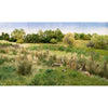 Woodland Scenics FG174 Medium Green Field Grass | Metro Hobbies