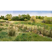 Woodland Scenics FG174 Medium Green Field Grass | Metro Hobbies