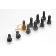 G-Force 0100-010 Socket Head Screw M25x10 Steel (10 pcs)