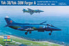 Hobby Boss 80362 1/48 Yak-38/Yak-38M Forger A