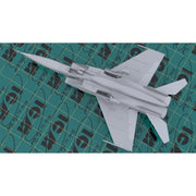 ICM 48904 1/48 MiG-25 RBF
