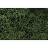 Woodland Scenics L163 Medium Green Lichen | Metro Hobbies