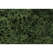 Woodland Scenics L163 Medium Green Lichen | Metro Hobbies