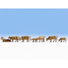 Noch 36722 N Cows Dark Brown -9