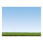 Noch 08151 Scatter Grass Summer Meadow 2.5mm 120g