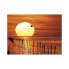 Ravensburger 14663-5 Puzzle Magical Sunset 500pc*