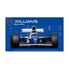 Fujimi FUJ09212 1/20 Williams FW16 Renault San MarinoGP/Brazilian GP/Pacific GP GP-24