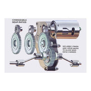 Tamiya Frog 2005 1/10 Off Road RC Kit 58354A