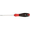 Torx Driver T10 Wiha