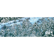 Vallejo 26231 Water Effects 231 Foam and Snow 32ml Paint