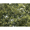 Woodland Scenics F1133 Fine Leaf Foliage Olive Green