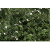 Woodland Scenics F1131 Medium Green Fine-Leaf Foliage | Metro Hobbies