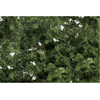 Woodland Scenics F1131 Medium Green Fine-Leaf Foliage